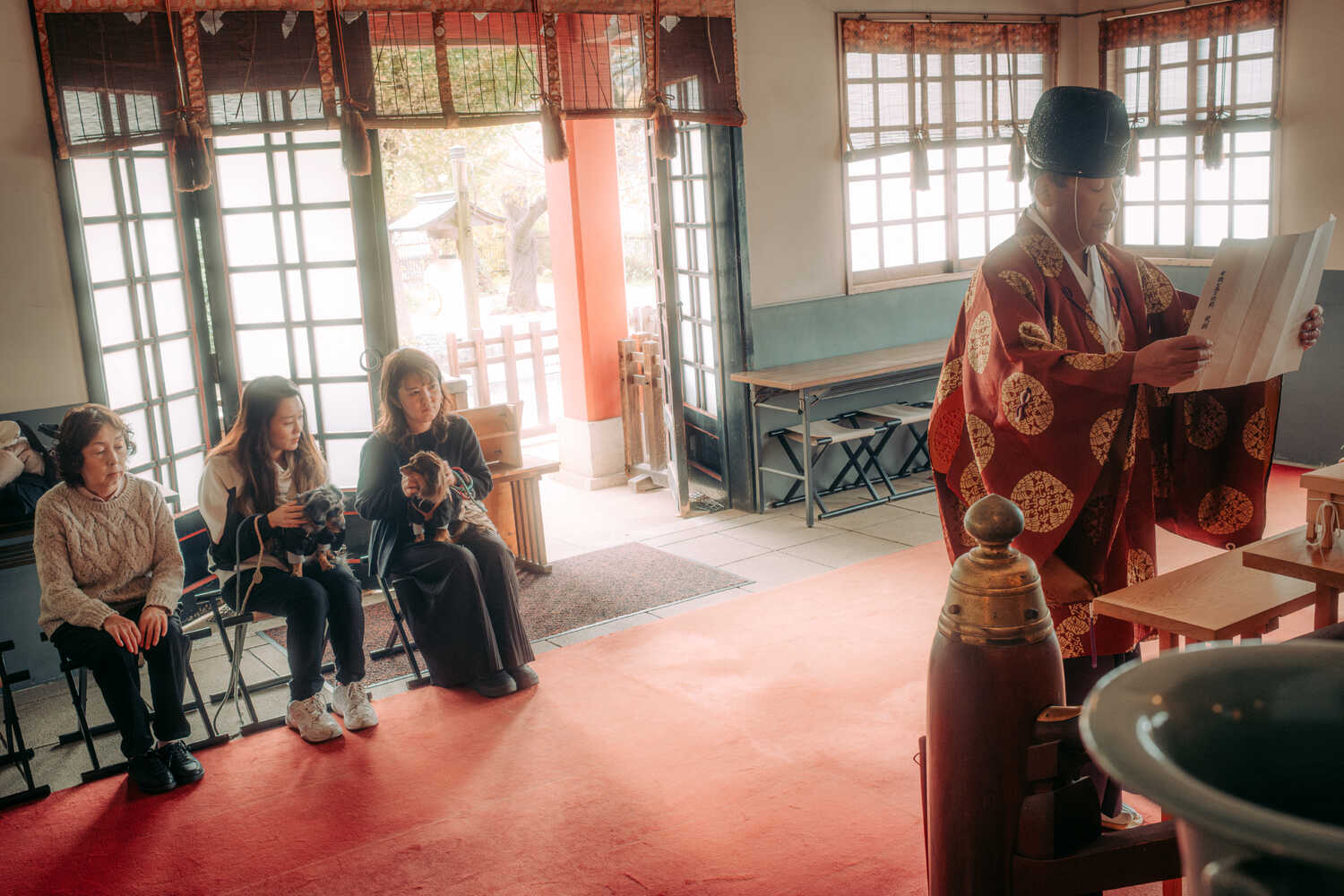 In a room with large windows, a person in ornate red and gold robes reads from a document. Three people are seated on chairs, two with small dogs.